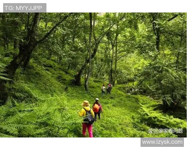 惊险暑假爬山行:女友竹马遭蛇咬,她毫不犹豫的勇敢行动 惊险暑假爬山行:女友竹马遭蛇咬,她毫不犹豫的勇敢行动