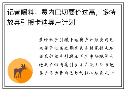 记者曝料：费内巴切要价过高，多特放弃引援卡迪奥卢计划