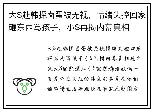大S赴韩探卤蛋被无视，情绪失控回家砸东西骂孩子，小S再揭内幕真相
