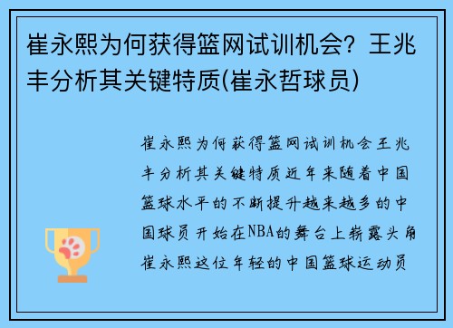 崔永熙为何获得篮网试训机会？王兆丰分析其关键特质(崔永哲球员)